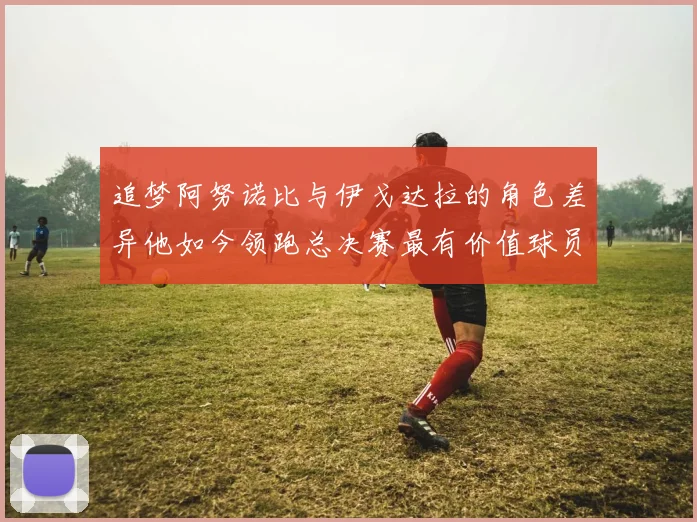 追梦阿努诺比与伊戈达拉的角色差异他如今领跑总决赛最有价值球员